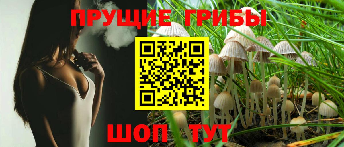 Псилоцибиновые грибы GOLDEN TEACHER Набережные Челны