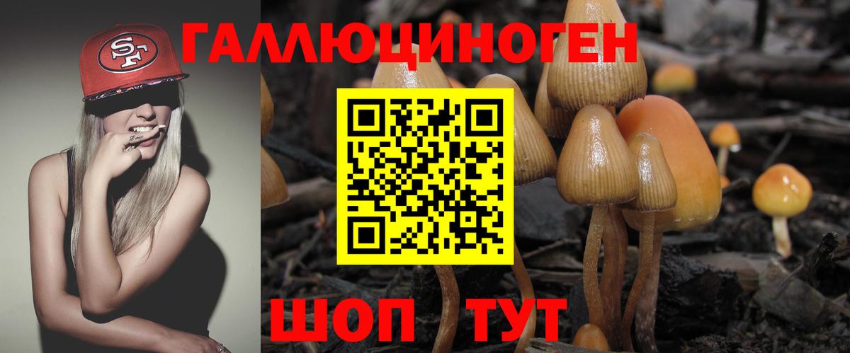 Набережные Челны  Галлюциногенные грибы прущие грибы  Вход с VPN 